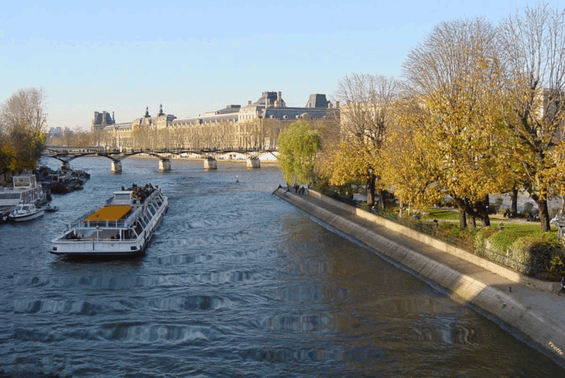 seine vagues