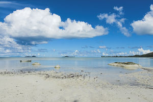 IMG_5624_01