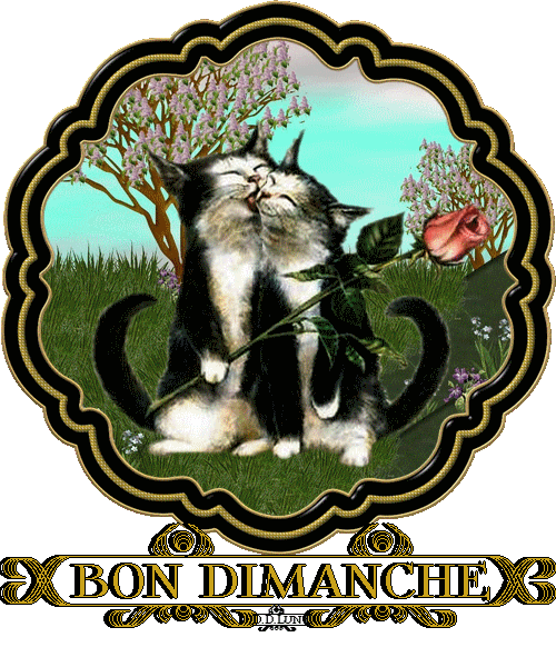 dimancheJ