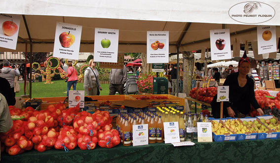MIREPOIX_Fete_de_la_Pomme_stand_de_vente_de_pommes_