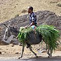 P1010116 - Copie