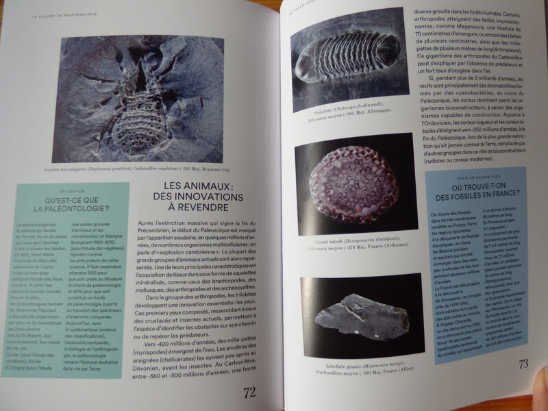 Galerie de paléontologie et d'anatomie comparée (3)