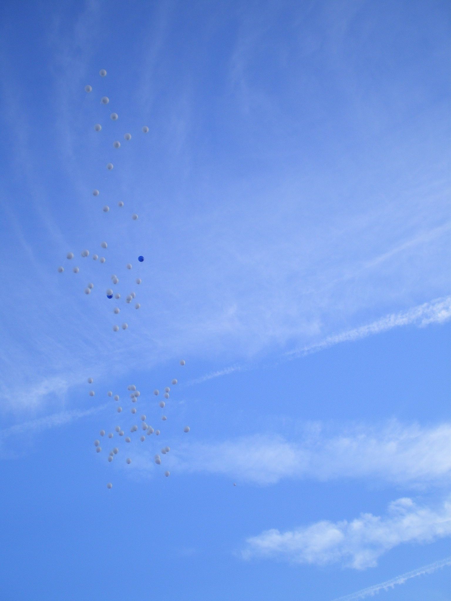 Chanson Beaucoup D'amour Du Soleil Du Ciel Bleu Ce fut un très beau Mariage! - BIENVENUE CHEZ DODOVANILLE