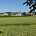 P1110474