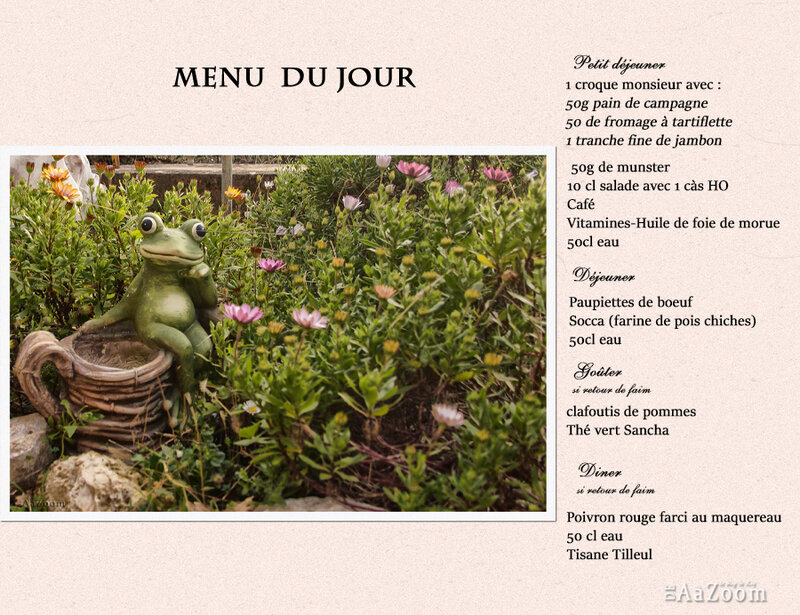 DeAaZoom_menu 2021-04-05