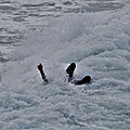 IMG_8675