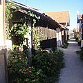 DSC07532