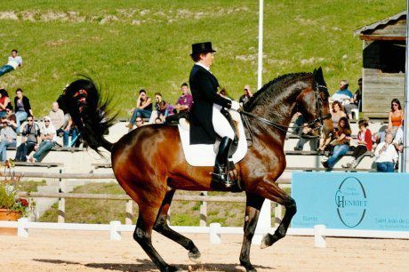 Selle d'obstacle pour cheval synthétique Premier Equine Sautiller Close  Contact