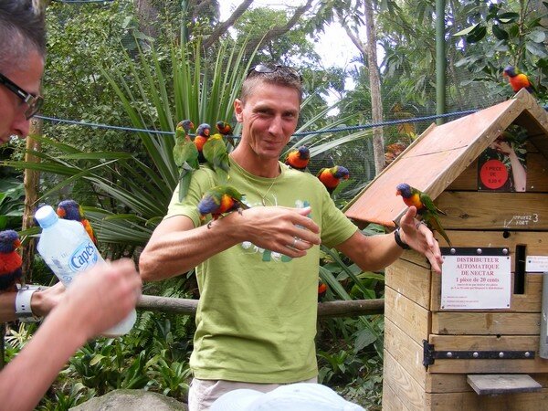 a gouté ou a été gouté en 3 lettres
