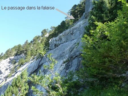 P1220527copie