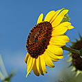 P1066257
