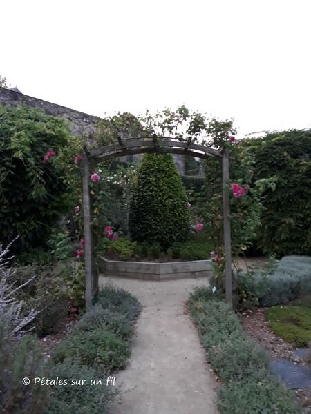 jardinCG3