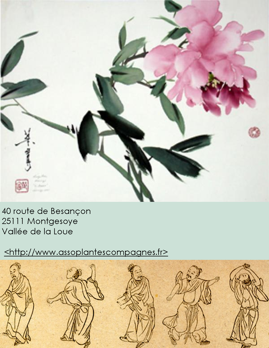 Qi Gong Gratuit Jardin Des Plantes Paris Qi Gong, balades botaniques et usage des plantes : beau programme