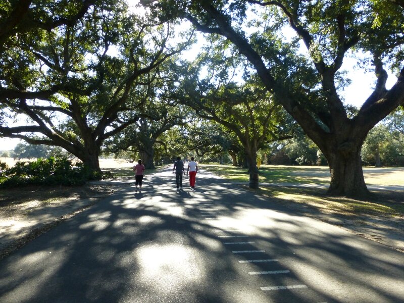 Audubon Park et Zoo (21)