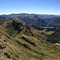 IMG_5960