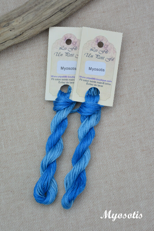 myosotis