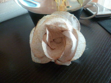 premi_re_rose