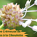 35 AIL DES VIGNES(1)Soupe crémeuse de lentilles à la ciboulette