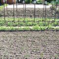08 Mai 2008