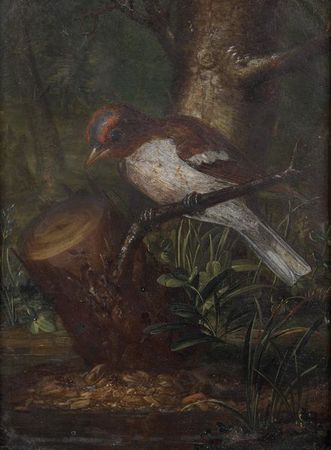 angermayer_johann_adalbert_1674_1740_pinson_des_arbres_1306420404994464