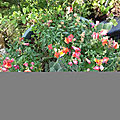 20190726_164530
