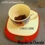 Mugcake au chocolat -recette facile (1)