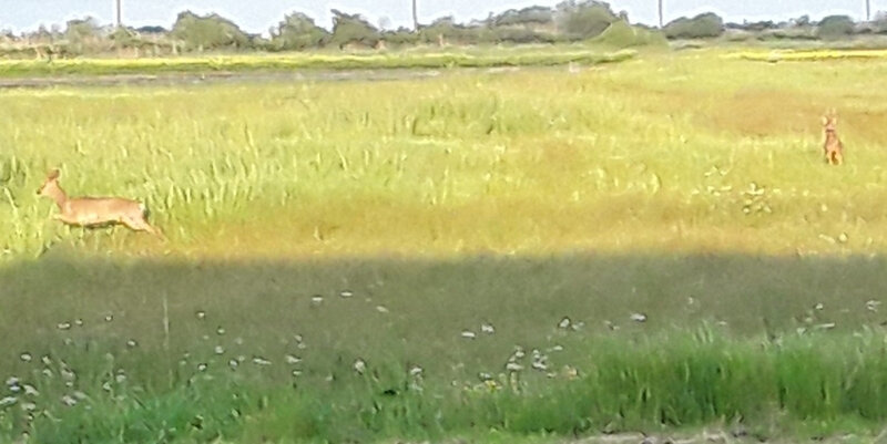 20200428_042342(0)