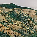 Stitched_005