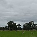 DSC09688