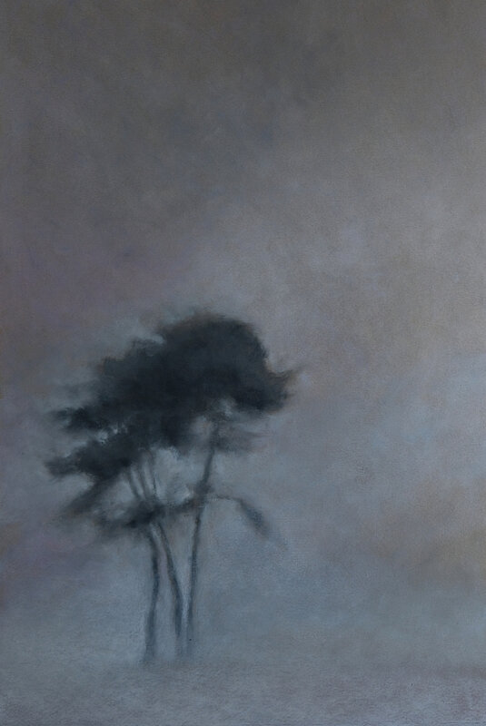 fog in trees, fev 2018, pastel à l'huile, 32 x 45 cm