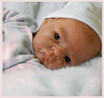 reborn doll academy