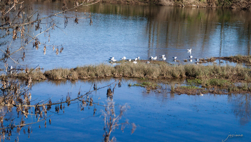 12012015-12012015-IMG_8181