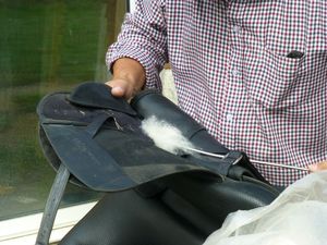 saddle fitting - saddle fitter
