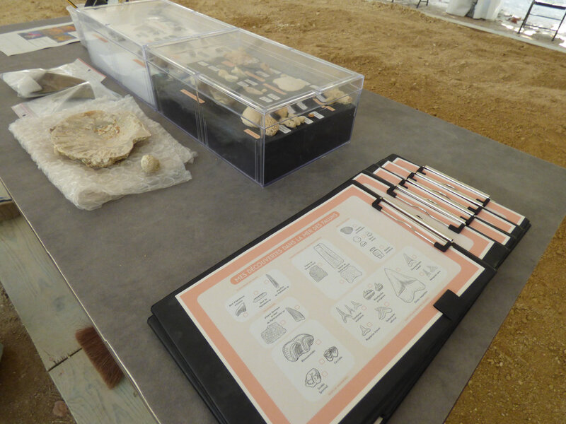 13 Muséum Chantier de fouilles (3)