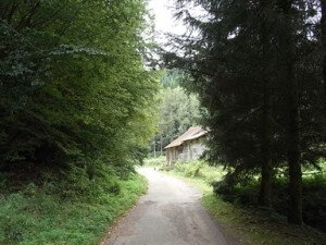 RIMG48324-300x225