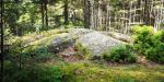 Dhars-Hauts 22
