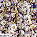 marché
