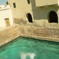 gafsa raouf kaabachi wed elbay (26)