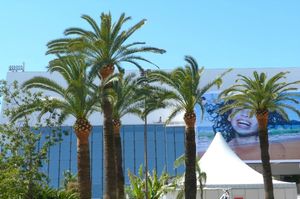 cannes 9