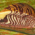 Gâteau tigré