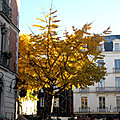 Rennes en jaune le 25 novembre 2023