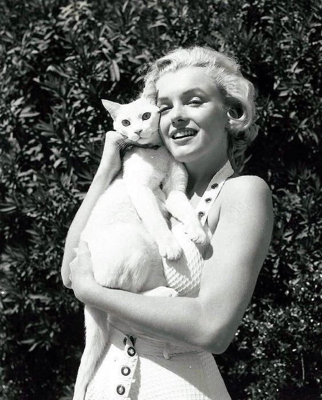 1951-08-MM_in_white_dress-studio_Fox-AYAYF-with_cat_Pinky-010-1