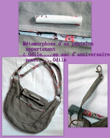sac_odile