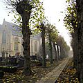 IMGP9016