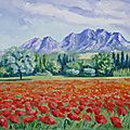 coquelicot dans les Alpilles