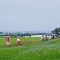 IMGP6608