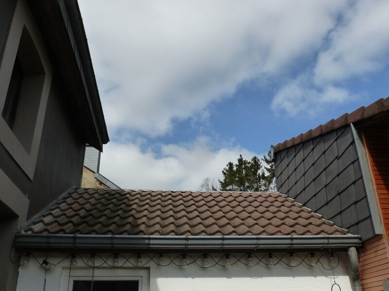 P1620233