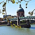 Du pont saint-pierre au pont neuf à toulouse le 10 avril 2016 (2)