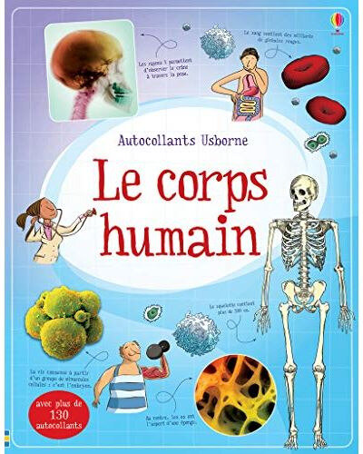 Combien De Muscles Compte Le Corps Humain Le corps humain : autocollants - L'Atelier de Ramettes