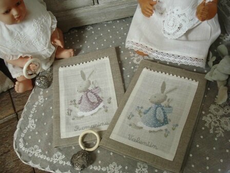 carnet santé lapin